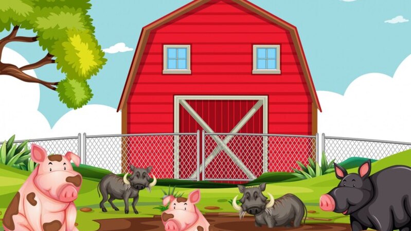 clipart:mxdzqqtke6e= pig