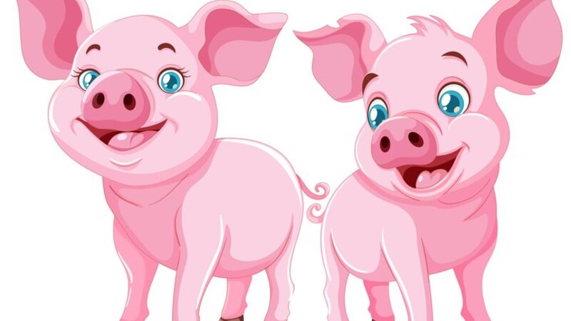 clipart:mxdzqqtke6e= pig